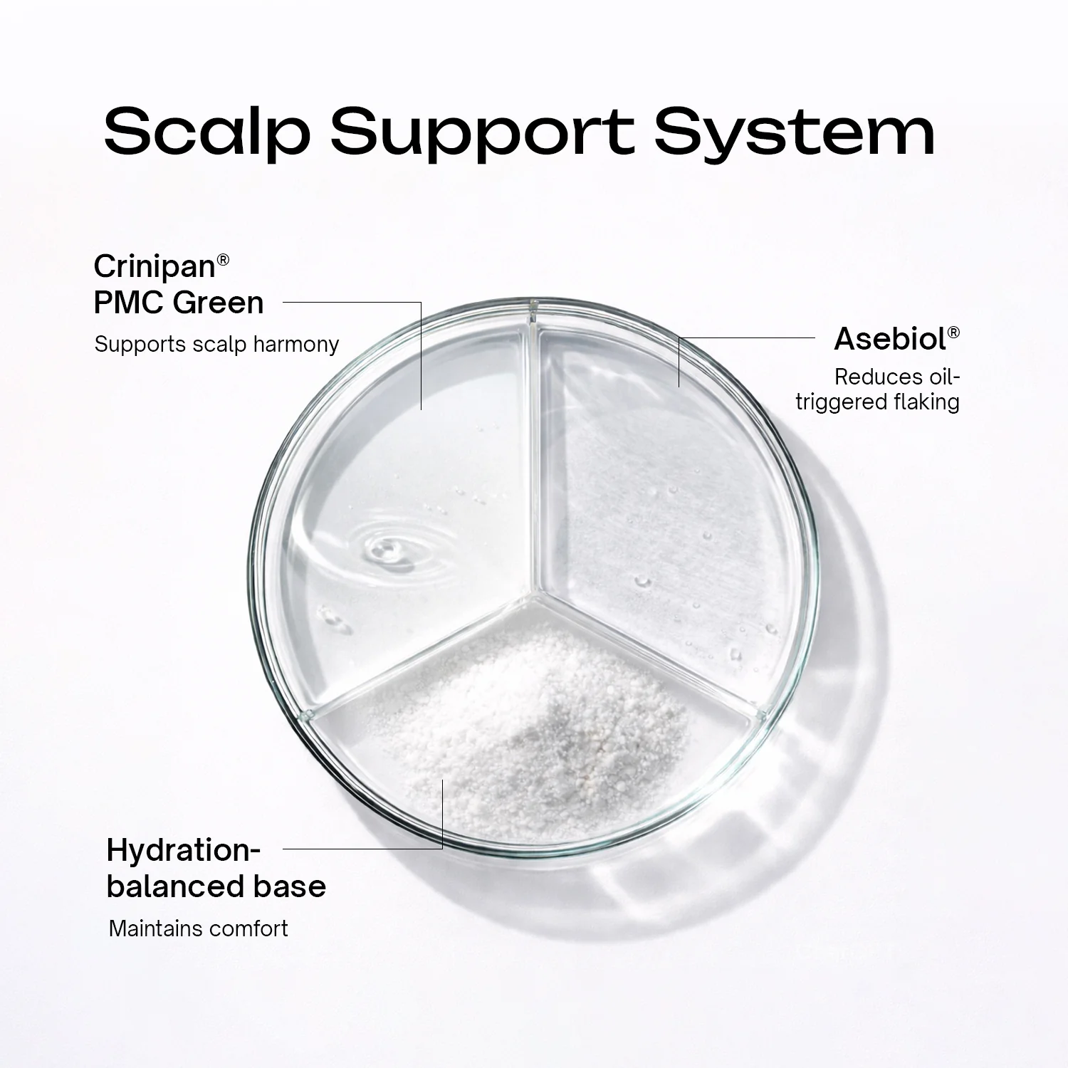Anti-Dandruff Scalp Serum - Image 6