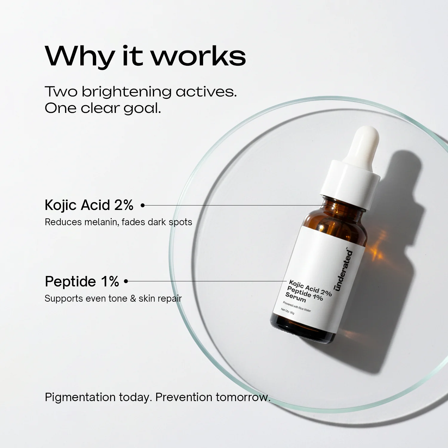 Kojic Acid 2% + Peptide 1% Serum - Image 3