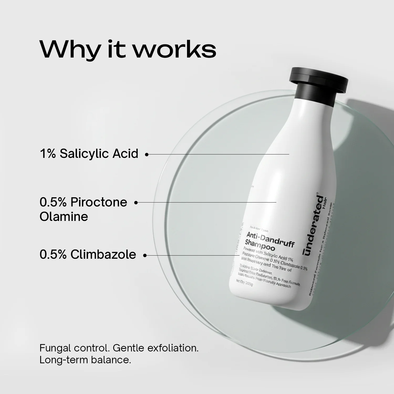 SLS-Free Anti-Dandruff Shampoo - Image 3
