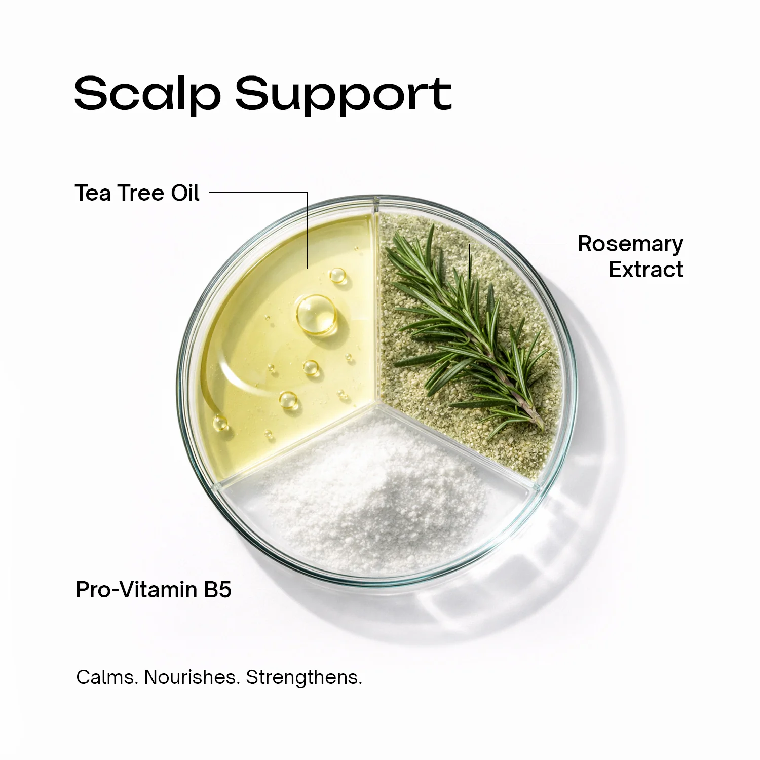 SLS-Free Anti-Dandruff Shampoo - Image 6