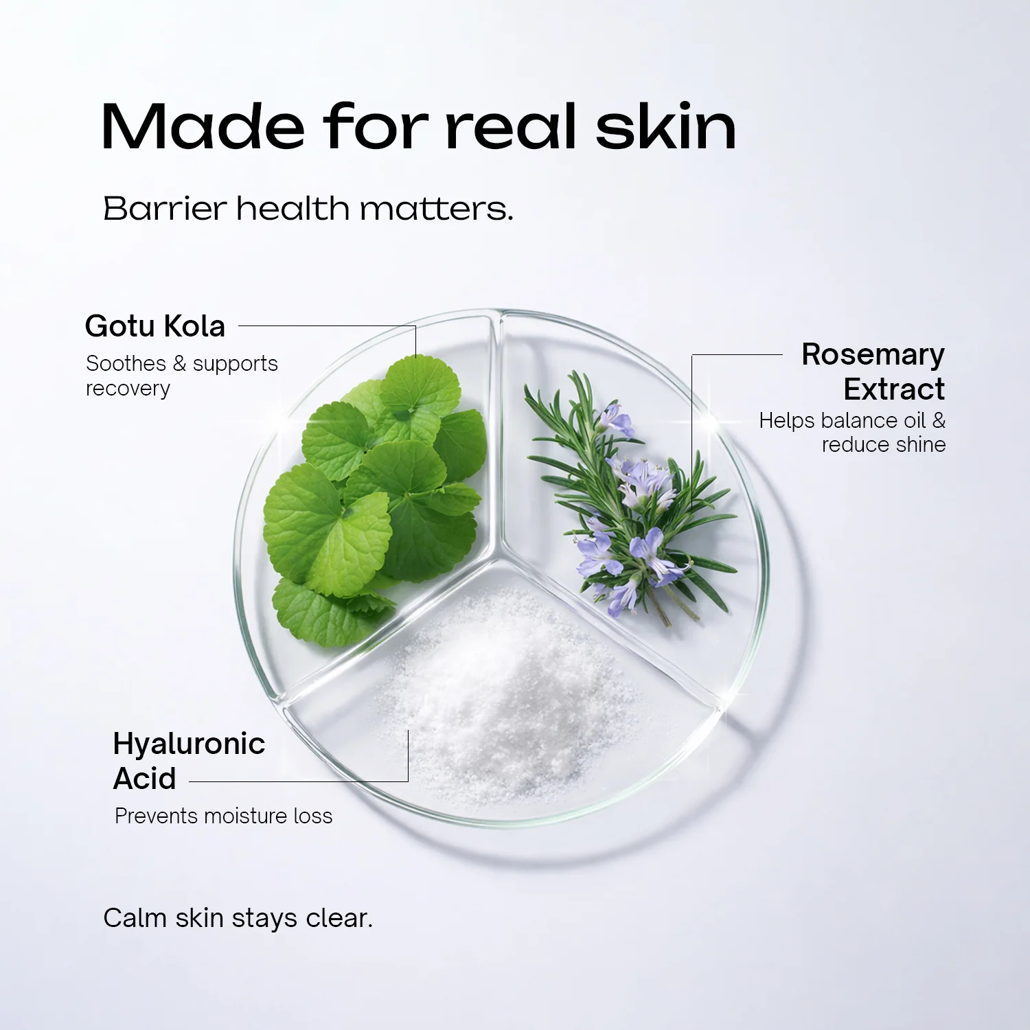 Niacinamide 5% Betaine 3% Serum - Image 5